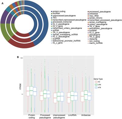 RNA Profiling Analysis of the Serum Exosomes Derived from Patients with Active and Latent Mycobacterium tuberculosis Infection